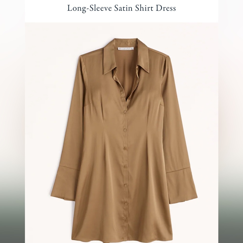 NWT Abercrombie and Fitch Silky Button Down Dress